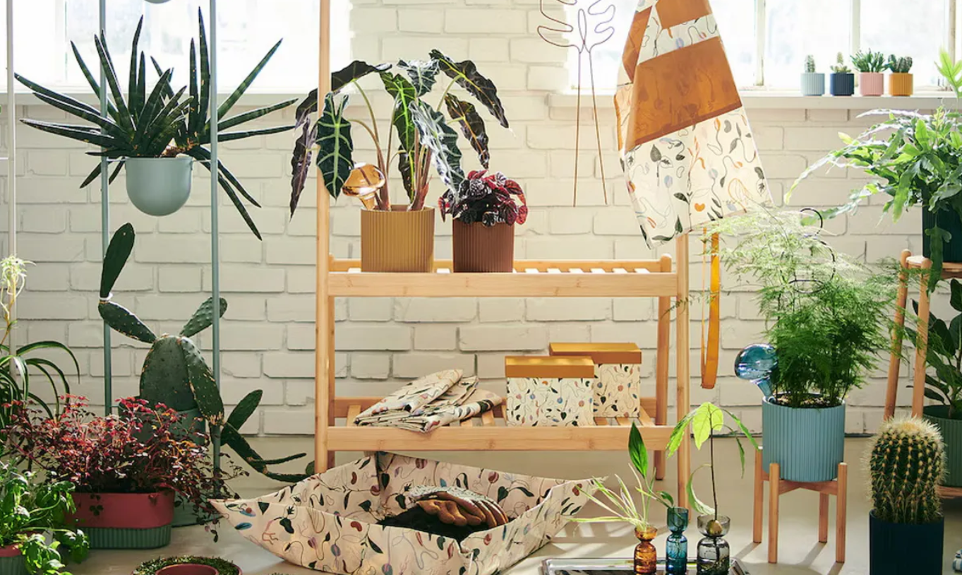 Transform Your Indoor Space with IKEA’s DAKSJUS Garden Collection