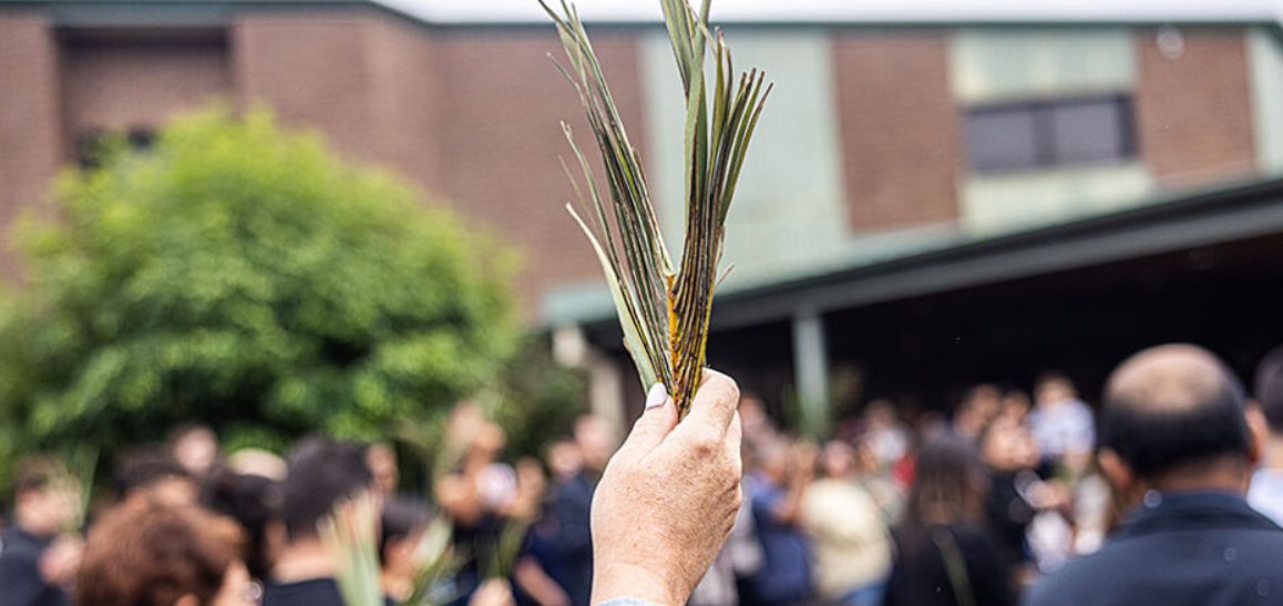 Palm Sunday: A Reflection on Hospitality, Power, and Hope